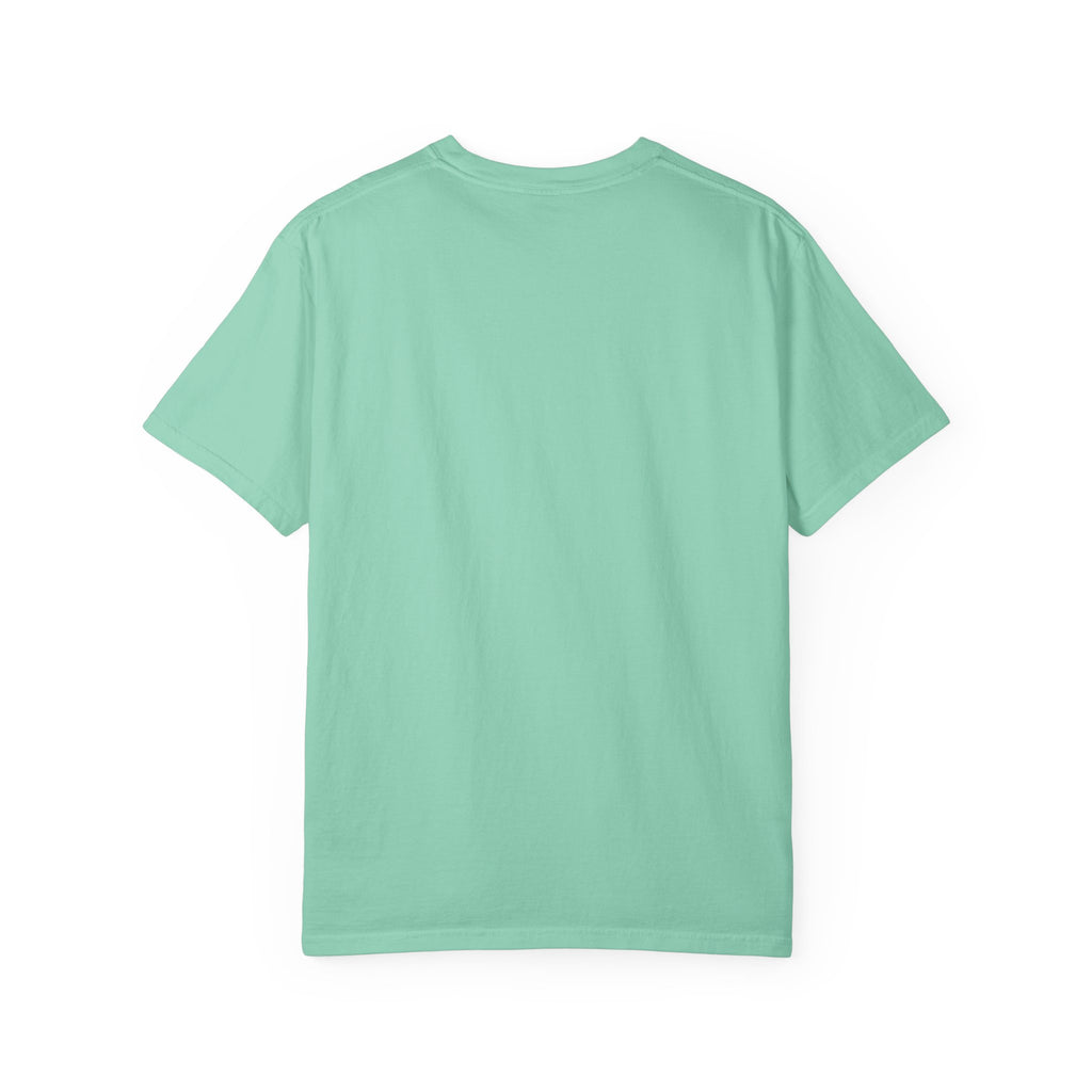 Funny Nurse T-Shirt, Ati-Van Ride, Unisex Tee, 100% Cotton, Nurse Gift, Soft Nurse T-Shirt